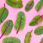 Baby Red Chard